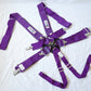 Team Tech Motorsport 6 Point Harness (Purple) (A)