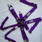 Team Tech Motorsport 6 Point Harness (Purple) (B)