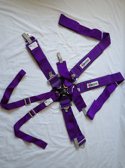 Team Tech Motorsport 6 Point Harness (Purple) (B)